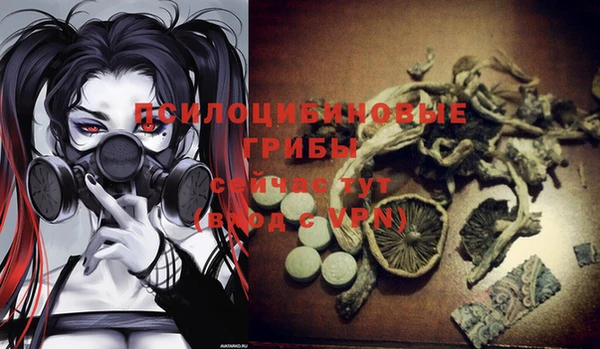 трава Балахна