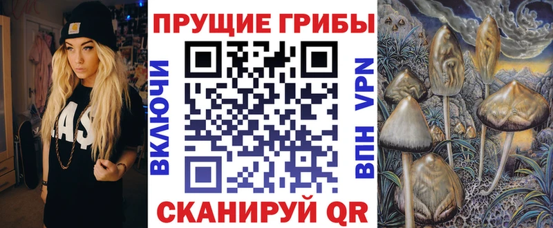 дарнет шоп  Кувандык  Галлюциногенные грибы ЛСД 